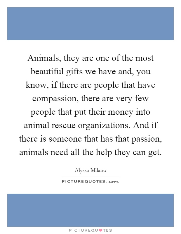 Animals, they are one of the most beautiful gifts we have and, you know, if there are people that have compassion, there are very few people that put their money into animal rescue organizations. And if there is someone that has that passion, animals need all the help they can get Picture Quote #1