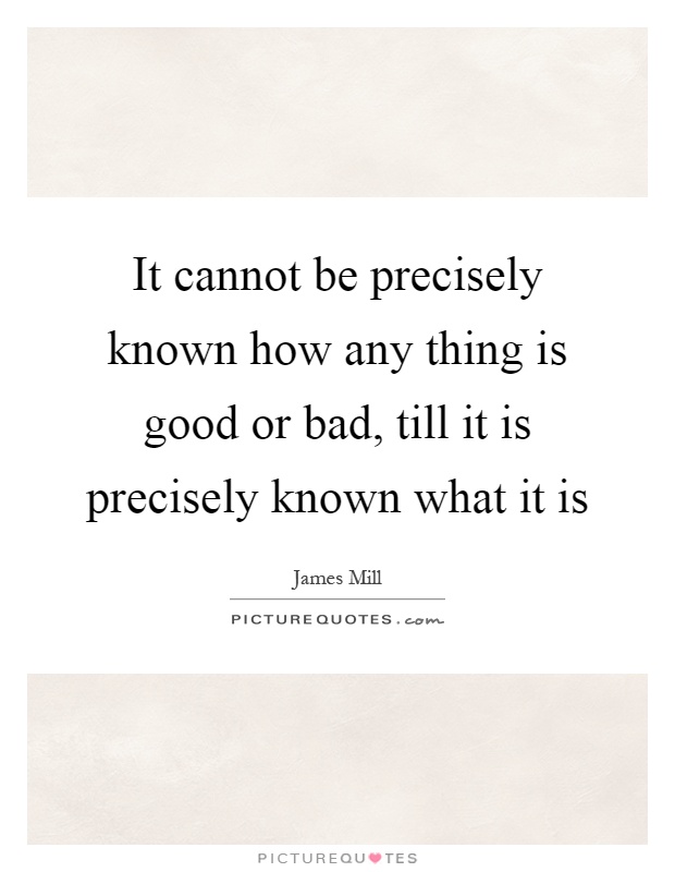 It cannot be precisely known how any thing is good or bad, till it is precisely known what it is Picture Quote #1