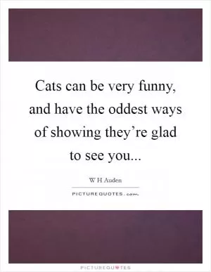 Cats can be very funny, and have the oddest ways of showing they’re glad to see you Picture Quote #1