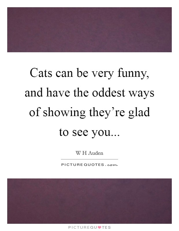 Cats can be very funny, and have the oddest ways of showing they're glad to see you... Picture Quote #1