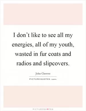 I don’t like to see all my energies, all of my youth, wasted in fur coats and radios and slipcovers Picture Quote #1