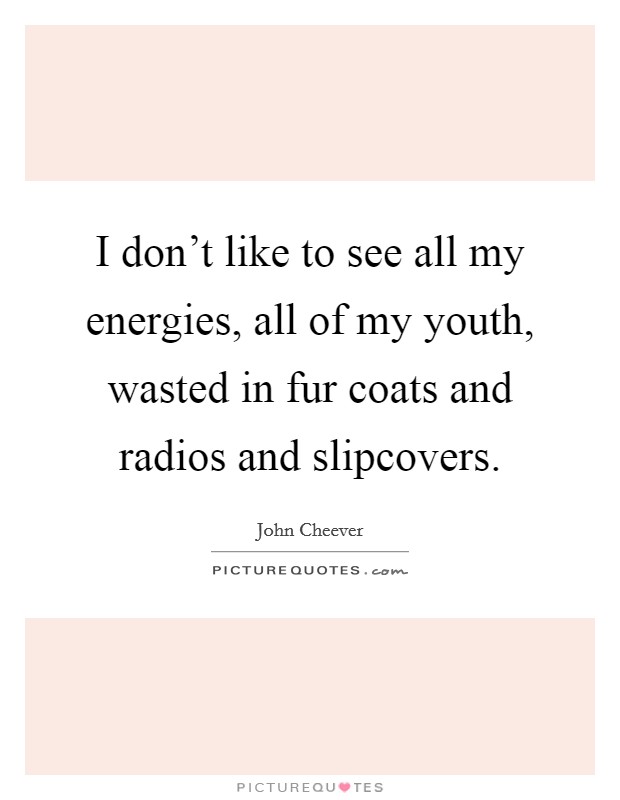 I don't like to see all my energies, all of my youth, wasted in fur coats and radios and slipcovers. Picture Quote #1