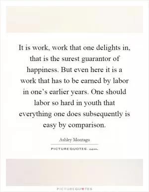 It is work, work that one delights in, that is the surest guarantor of happiness. But even here it is a work that has to be earned by labor in one’s earlier years. One should labor so hard in youth that everything one does subsequently is easy by comparison Picture Quote #1