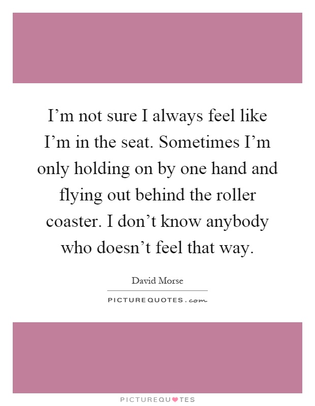 I'm not sure I always feel like I'm in the seat. Sometimes I'm only holding on by one hand and flying out behind the roller coaster. I don't know anybody who doesn't feel that way Picture Quote #1