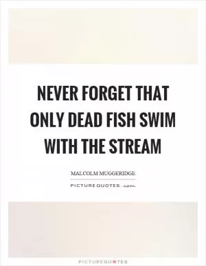 Never forget that only dead fish swim with the stream Picture Quote #1