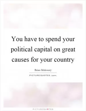 You have to spend your political capital on great causes for your country Picture Quote #1