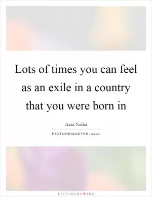 Lots of times you can feel as an exile in a country that you were born in Picture Quote #1