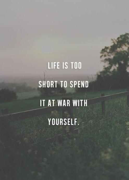 Life is too short to spend it at war with yourself Picture Quote #1