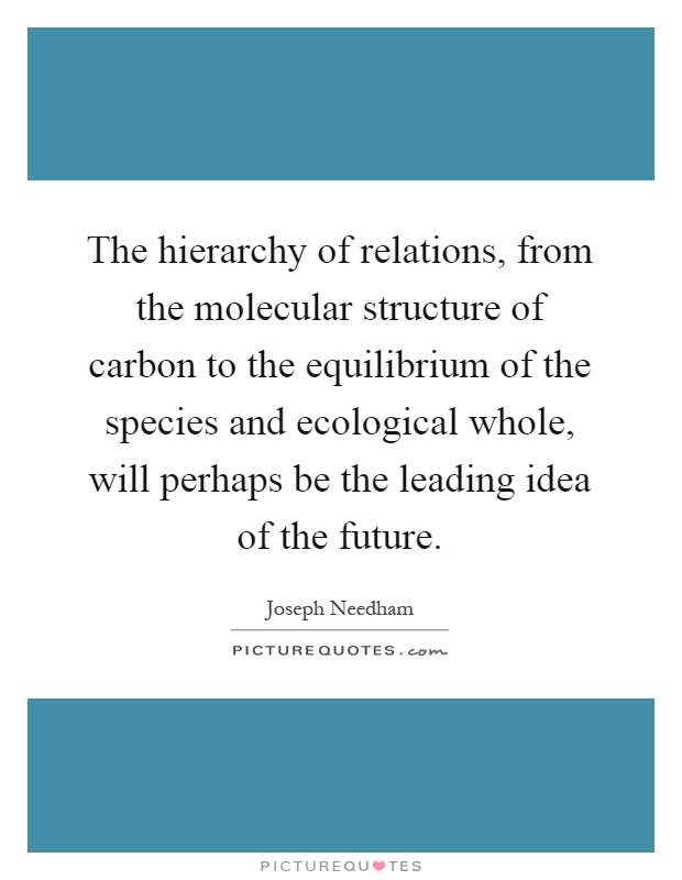 The hierarchy of relations, from the molecular structure of carbon to the equilibrium of the species and ecological whole, will perhaps be the leading idea of the future Picture Quote #1