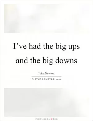 I’ve had the big ups and the big downs Picture Quote #1