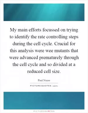 My main efforts focussed on trying to identify the rate controlling steps during the cell cycle. Crucial for this analysis were wee mutants that were advanced prematurely through the cell cycle and so divided at a reduced cell size Picture Quote #1
