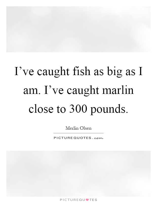 I've caught fish as big as I am. I've caught marlin close to 300 pounds Picture Quote #1