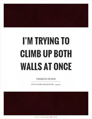I’m trying to climb up both walls at once Picture Quote #1