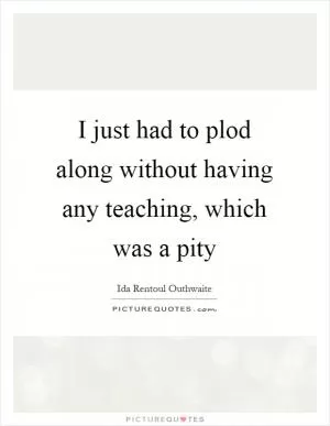I just had to plod along without having any teaching, which was a pity Picture Quote #1
