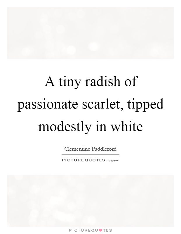 A tiny radish of passionate scarlet, tipped modestly in white Picture Quote #1