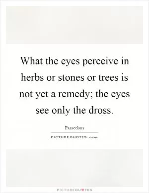 What the eyes perceive in herbs or stones or trees is not yet a remedy; the eyes see only the dross Picture Quote #1
