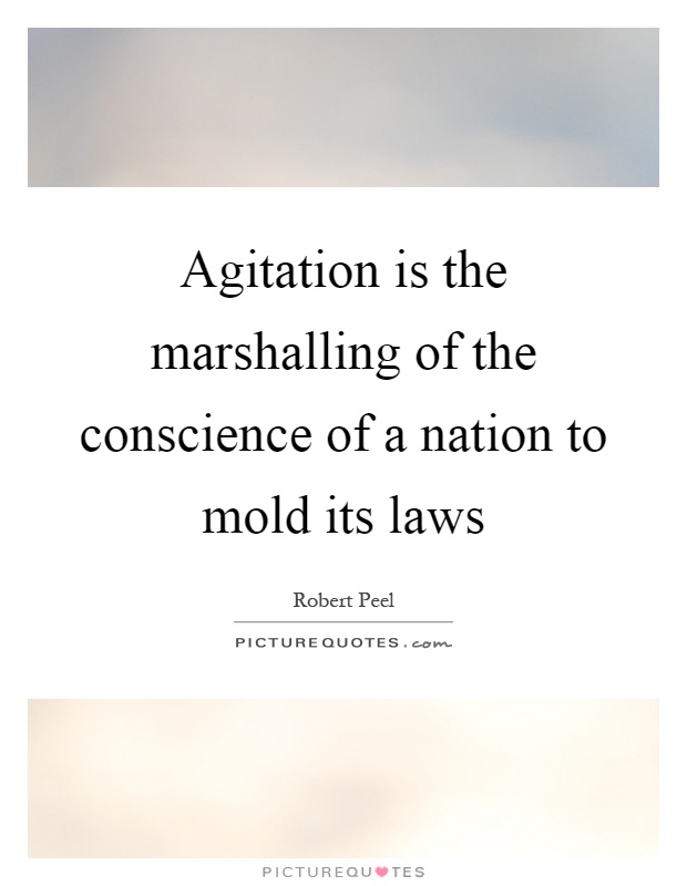Agitation is the marshalling of the conscience of a nation to mold its laws Picture Quote #1