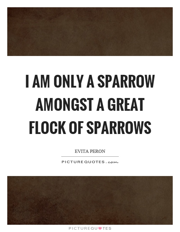 I am only a sparrow amongst a great flock of sparrows Picture Quote #1