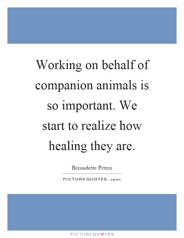 Working on behalf of companion animals is so important. We start to realize how healing they are Picture Quote #1