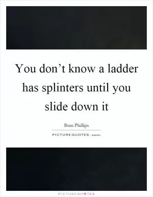 You don’t know a ladder has splinters until you slide down it Picture Quote #1