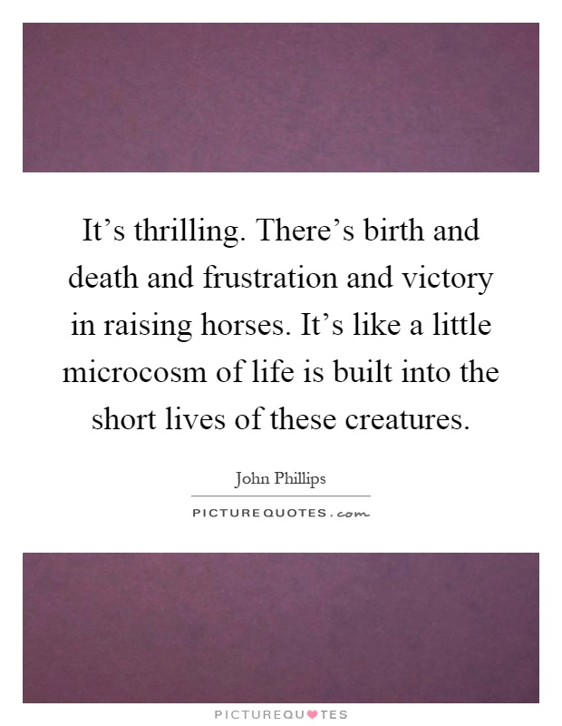 It's thrilling. There's birth and death and frustration and victory in raising horses. It's like a little microcosm of life is built into the short lives of these creatures Picture Quote #1