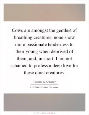 Cows are amongst the gentlest of breathing creatures; none show more passionate tenderness to their young when deprived of them; and, in short, I am not ashamed to profess a deep love for these quiet creatures Picture Quote #1