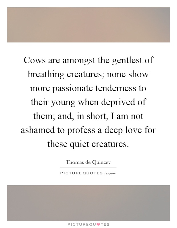 Cows are amongst the gentlest of breathing creatures; none show more passionate tenderness to their young when deprived of them; and, in short, I am not ashamed to profess a deep love for these quiet creatures Picture Quote #1