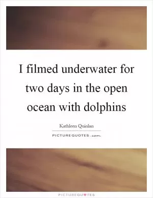 I filmed underwater for two days in the open ocean with dolphins Picture Quote #1