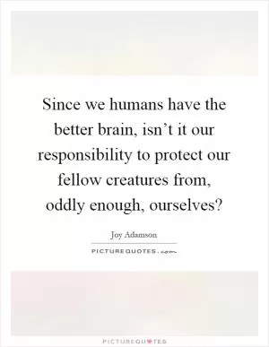 Since we humans have the better brain, isn’t it our responsibility to protect our fellow creatures from, oddly enough, ourselves? Picture Quote #1