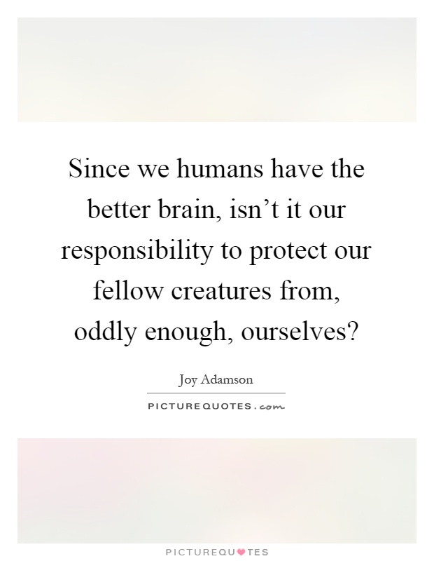 Since we humans have the better brain, isn't it our responsibility to protect our fellow creatures from, oddly enough, ourselves? Picture Quote #1