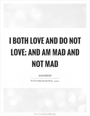I both love and do not love; and am mad and not mad Picture Quote #1
