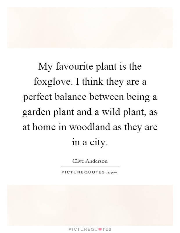 My favourite plant is the foxglove. I think they are a perfect balance between being a garden plant and a wild plant, as at home in woodland as they are in a city Picture Quote #1