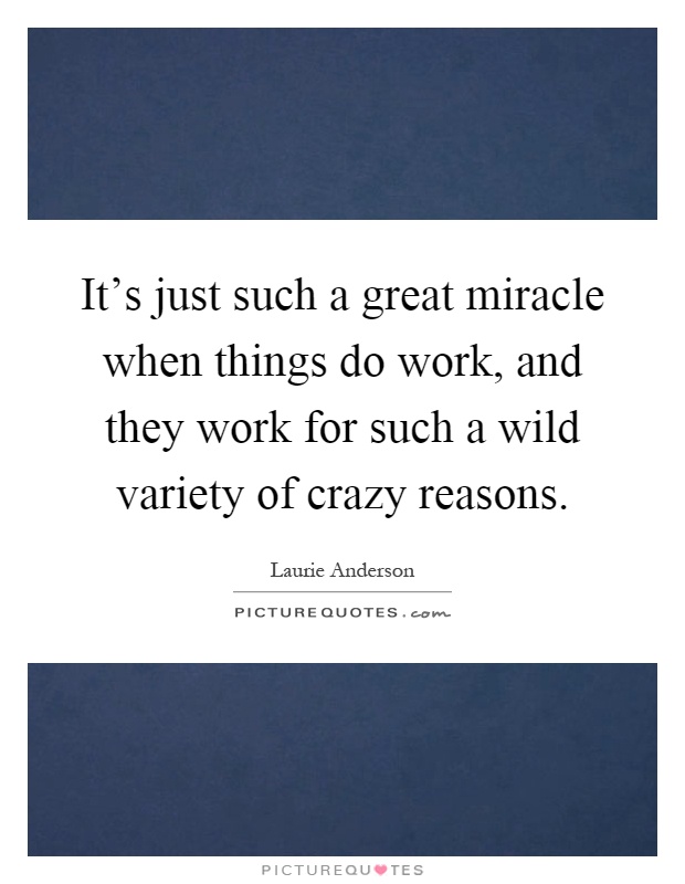 It's just such a great miracle when things do work, and they work for such a wild variety of crazy reasons Picture Quote #1