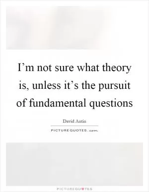 I’m not sure what theory is, unless it’s the pursuit of fundamental questions Picture Quote #1