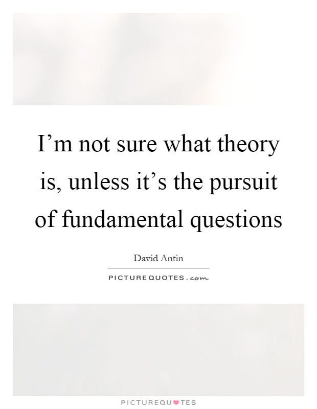 I'm not sure what theory is, unless it's the pursuit of fundamental questions Picture Quote #1