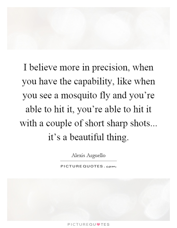 I believe more in precision, when you have the capability, like when you see a mosquito fly and you're able to hit it, you're able to hit it with a couple of short sharp shots... it's a beautiful thing Picture Quote #1