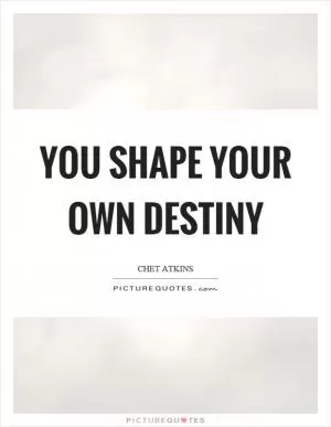 You shape your own destiny Picture Quote #1