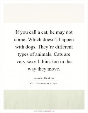 If you call a cat, he may not come. Which doesn’t happen with dogs. They’re different types of animals. Cats are very sexy I think too in the way they move Picture Quote #1