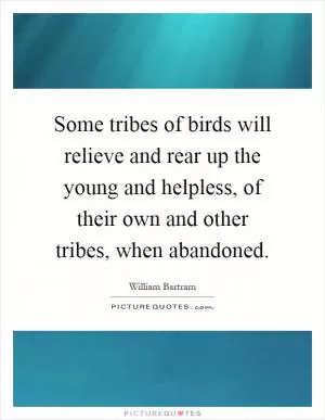 Some tribes of birds will relieve and rear up the young and helpless, of their own and other tribes, when abandoned Picture Quote #1