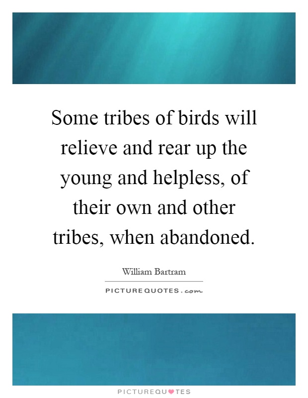 Some tribes of birds will relieve and rear up the young and helpless, of their own and other tribes, when abandoned Picture Quote #1