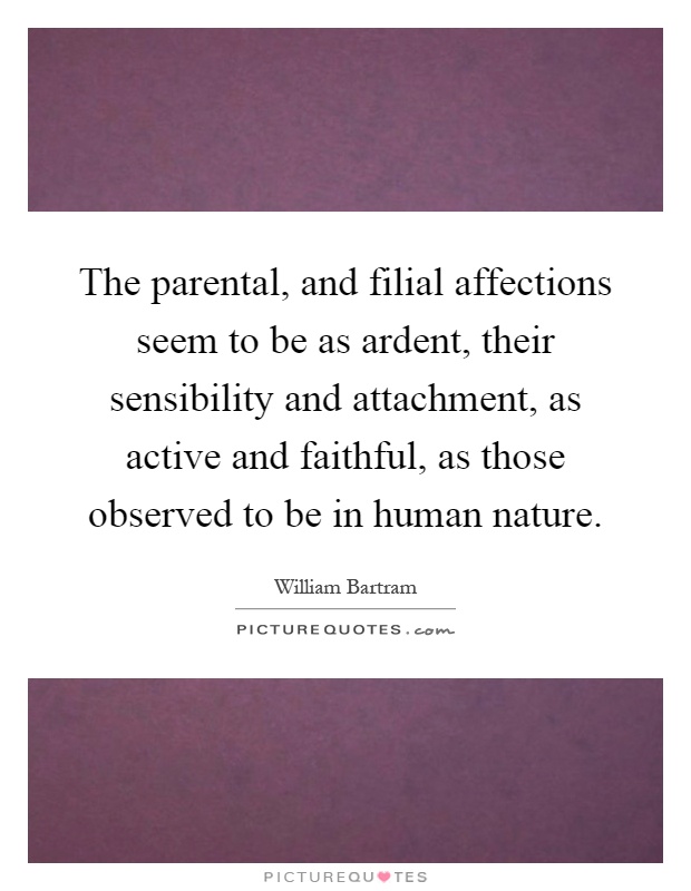 The parental, and filial affections seem to be as ardent, their sensibility and attachment, as active and faithful, as those observed to be in human nature Picture Quote #1