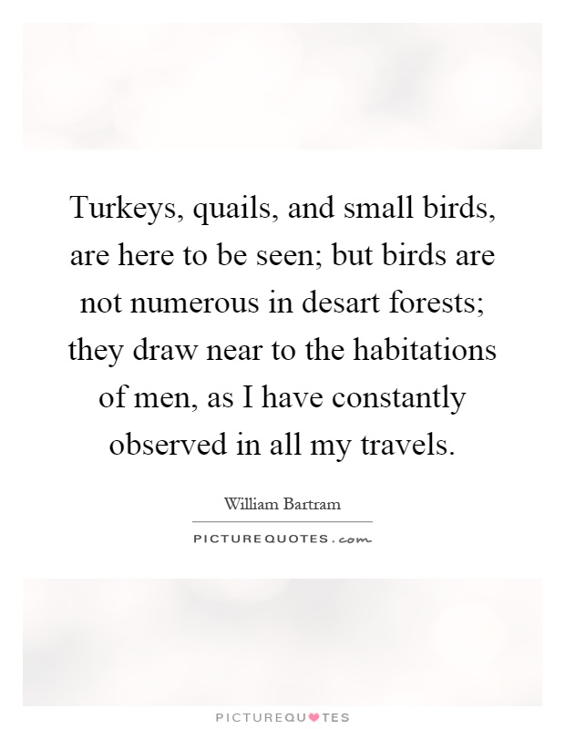 Turkeys, quails, and small birds, are here to be seen; but birds are not numerous in desart forests; they draw near to the habitations of men, as I have constantly observed in all my travels Picture Quote #1