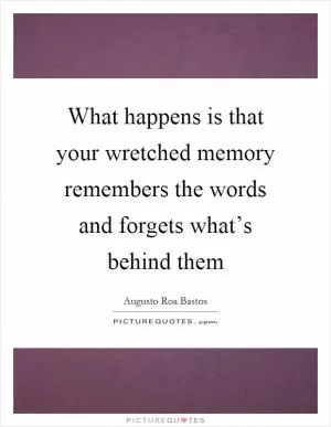 What happens is that your wretched memory remembers the words and forgets what’s behind them Picture Quote #1