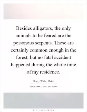 Besides alligators, the only animals to be feared are the poisonous serpents. These are certainly common enough in the forest, but no fatal accident happened during the whole time of my residence Picture Quote #1