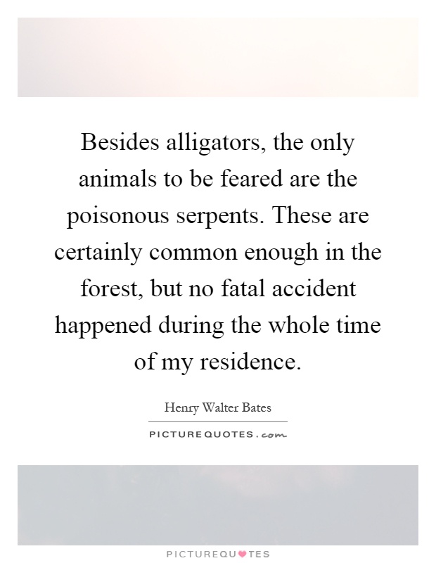 Besides alligators, the only animals to be feared are the poisonous serpents. These are certainly common enough in the forest, but no fatal accident happened during the whole time of my residence Picture Quote #1