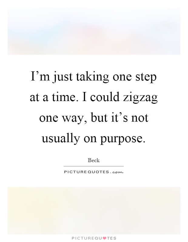 I'm just taking one step at a time. I could zigzag one way, but it's not usually on purpose Picture Quote #1