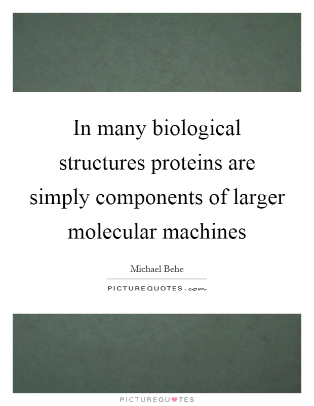 In many biological structures proteins are simply components of larger molecular machines Picture Quote #1