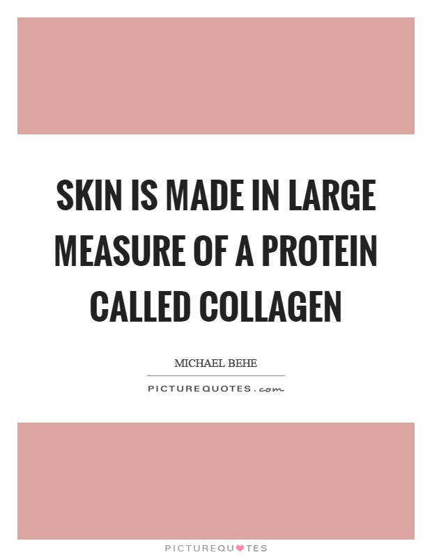 Skin is made in large measure of a protein called collagen Picture Quote #1