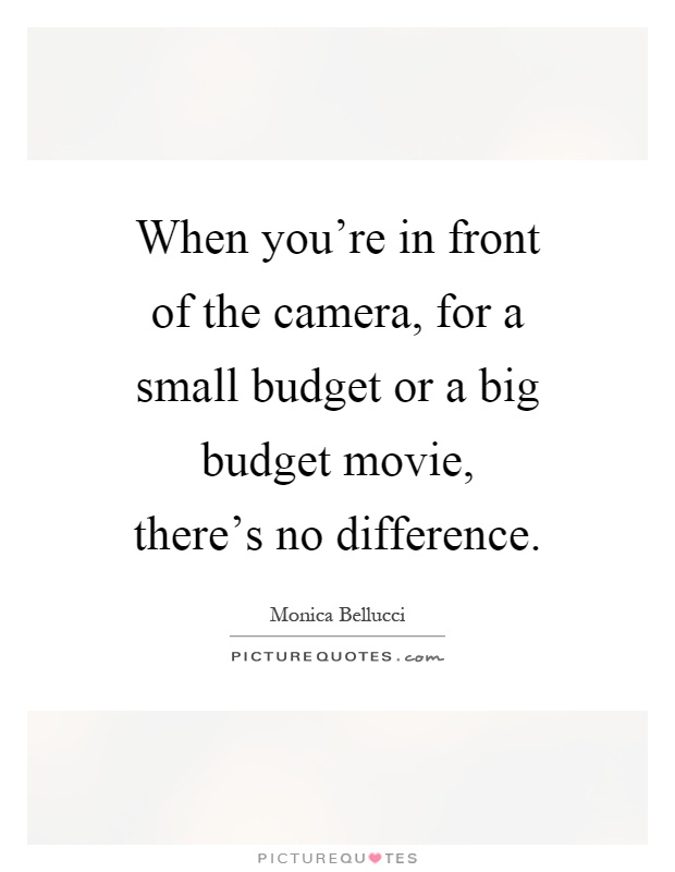 When you're in front of the camera, for a small budget or a big budget movie, there's no difference Picture Quote #1