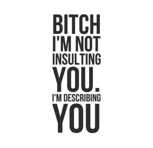Bitch, I'm not insulting you. I'm describing you Picture Quote #1